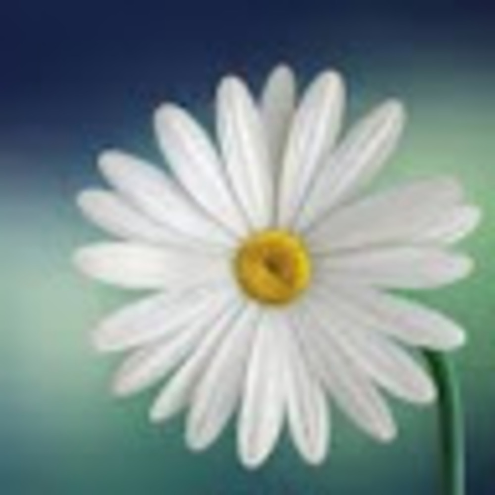 Meet your Posher, Sohamy